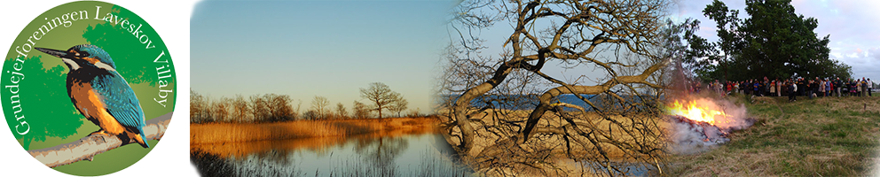  Grundejerforeningen Laveskov Villaby